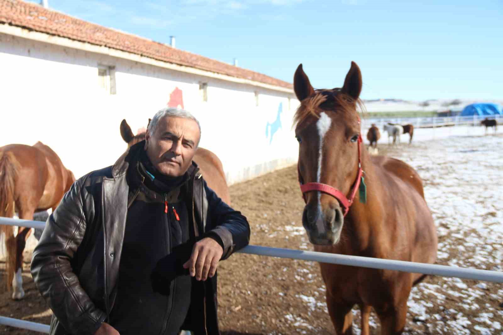 At yetiştiriciliğinin kış zorlukları
