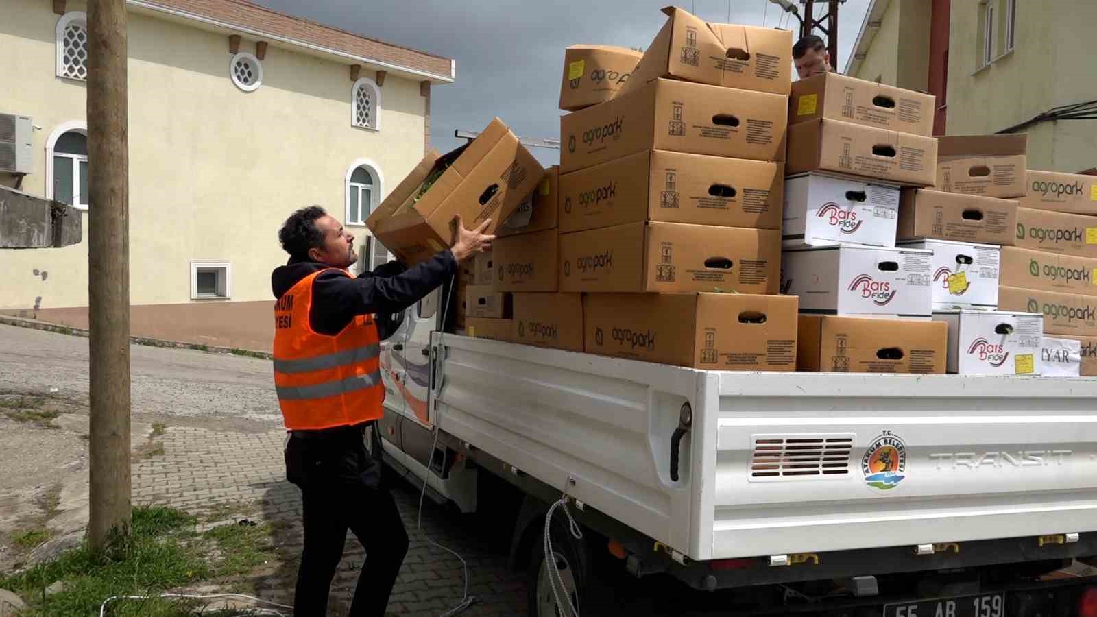 Atakumlu çiftçiye 100 bin sebze fidesi
