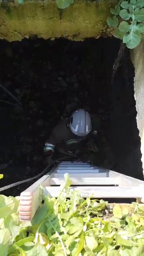 Atık su deposuna düşen kediyi kurtaran itfaiyeci, alkışlarla karşılandı
