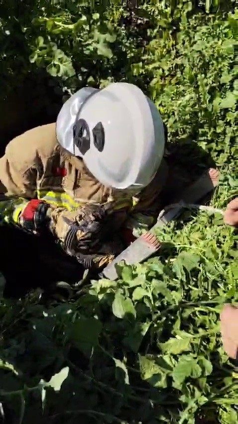 Atık su deposuna düşen kediyi kurtaran itfaiyeci, alkışlarla karşılandı
