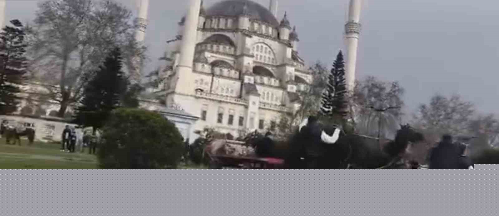 Atını sopa ve tekmeyle bayılttı
