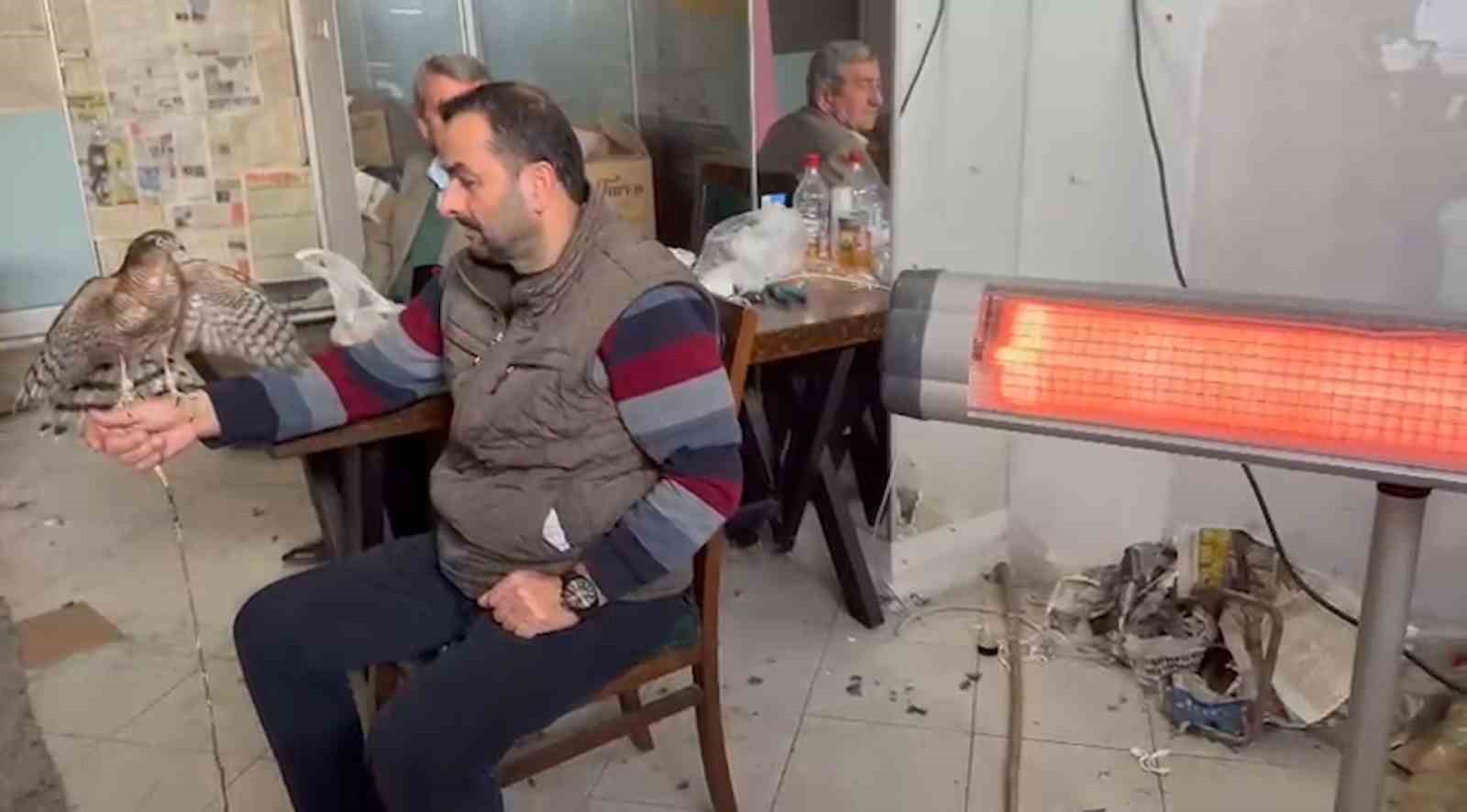 Atmacacılığın serüveni
