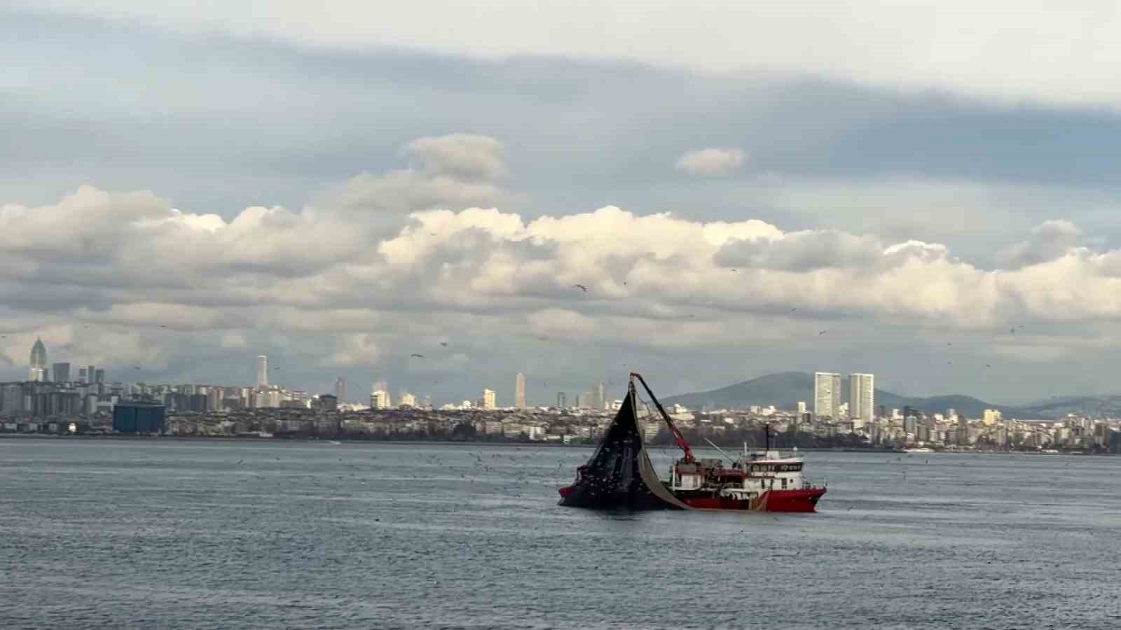 Av mevsiminin son gülerinde istavrit bolluğu
