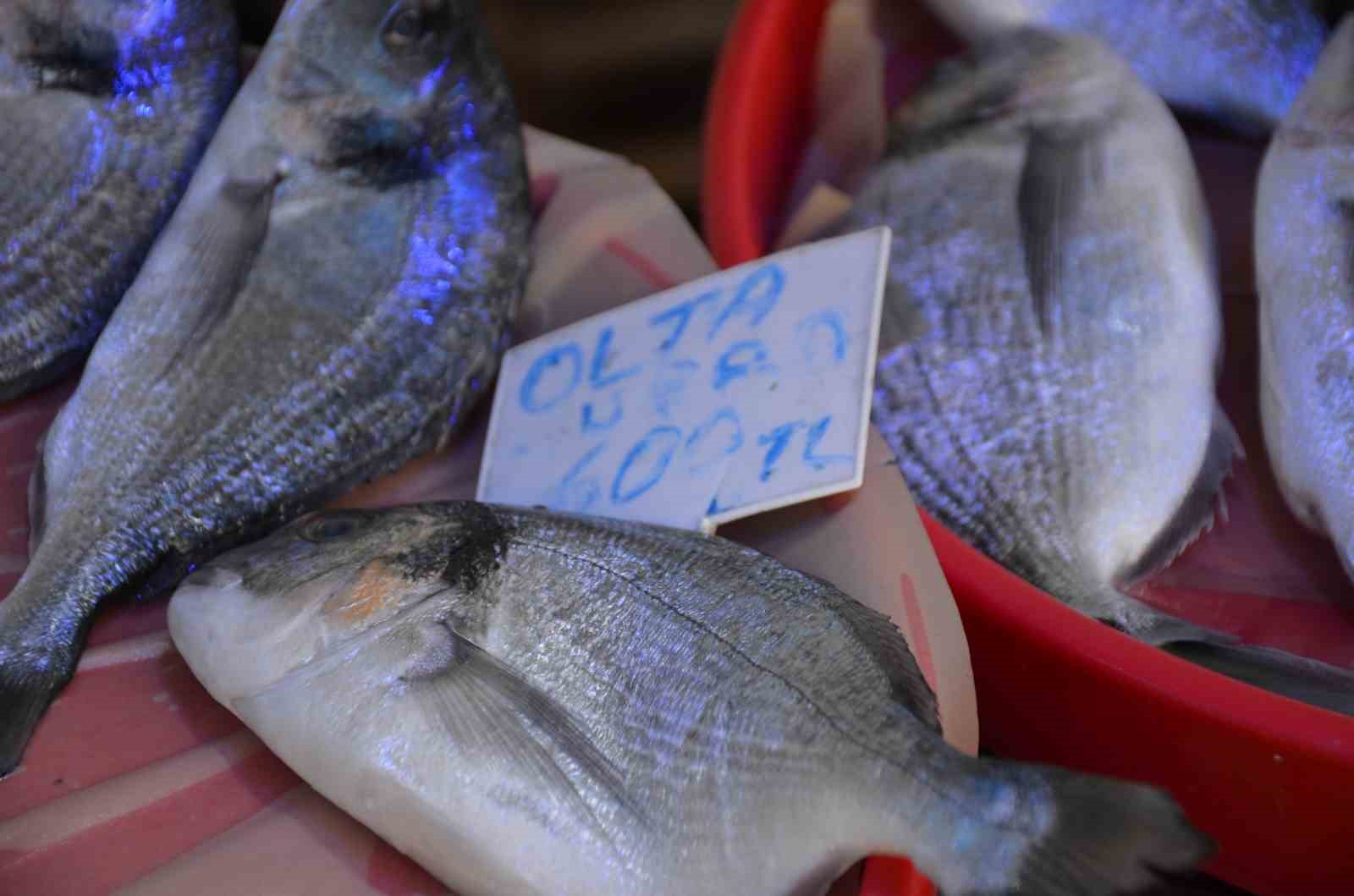 Av sezonu bitse de tezgahlar balıksız kalmıyor
