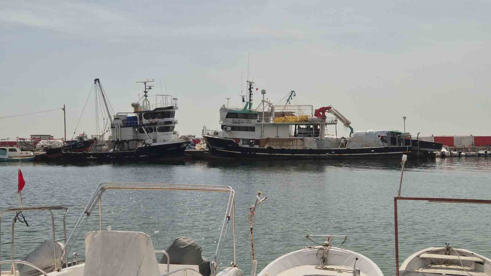 Av yasağı başlıyor
Av yasağı başlıyor