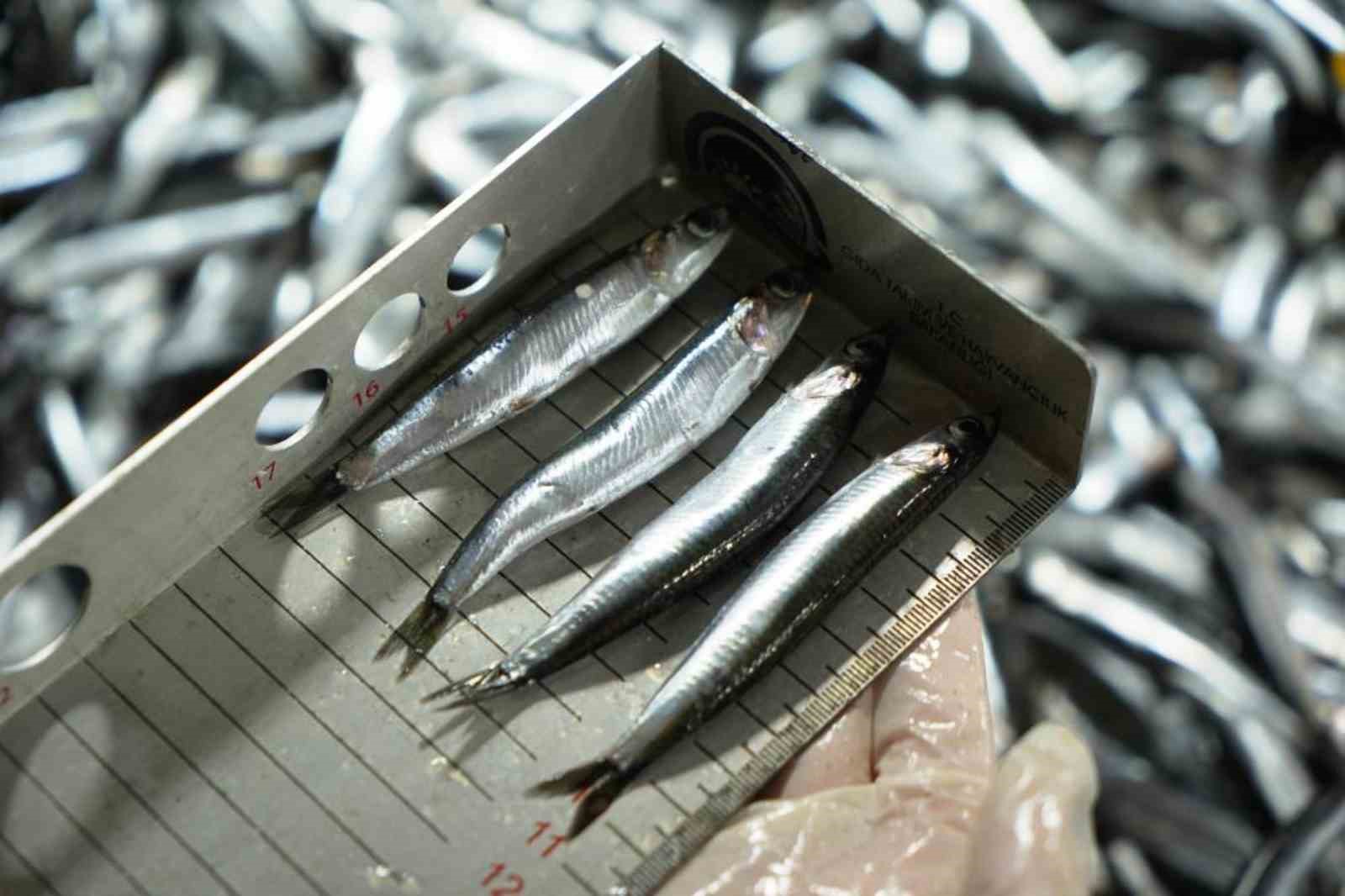 Avcılık denetimlerinde ceza yağdı: 2,6 milyon TL’yi aştı
