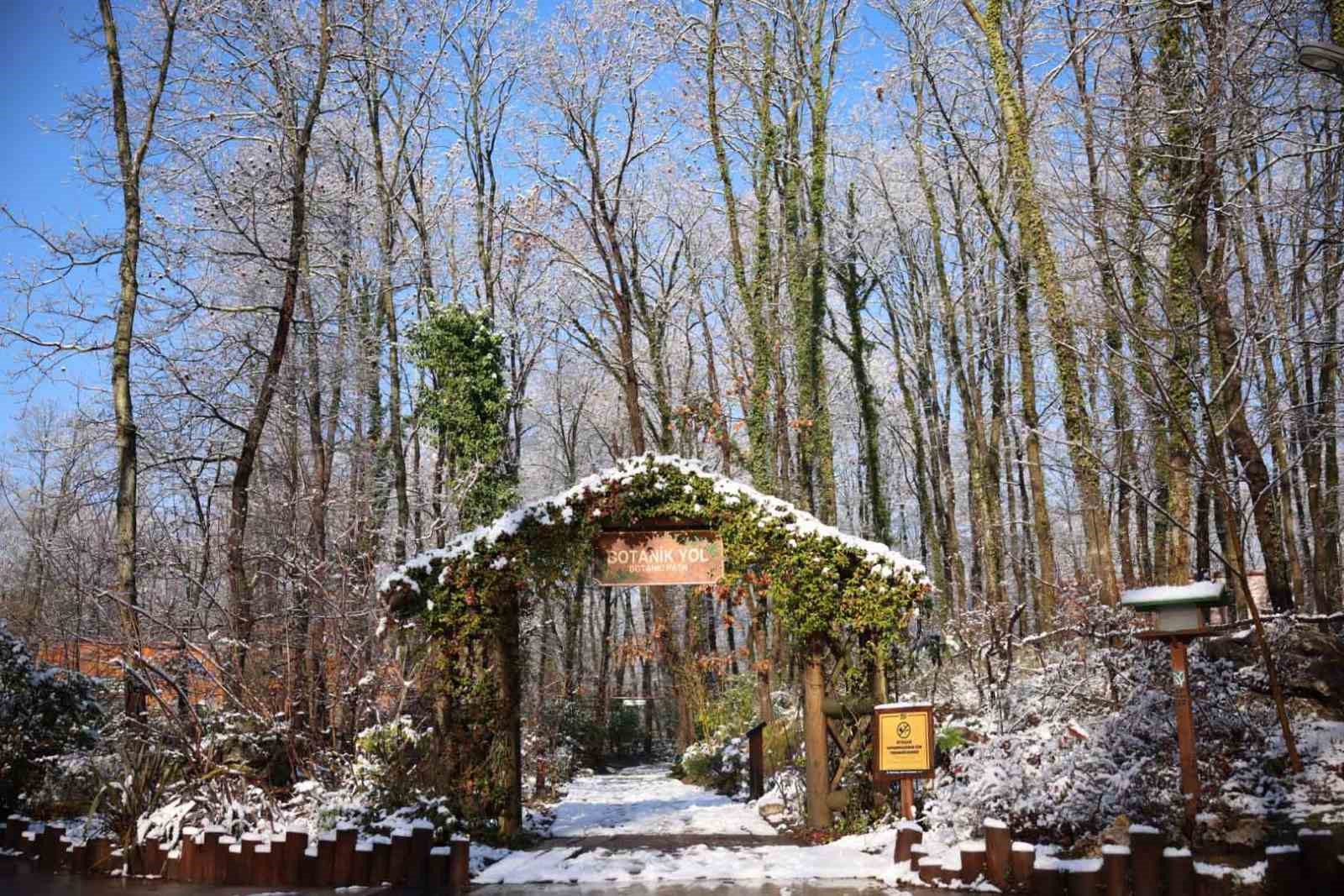 Avrupa’nın en büyük doğal yaşam parkı Ormanya beyaz örtüyle kaplandı
