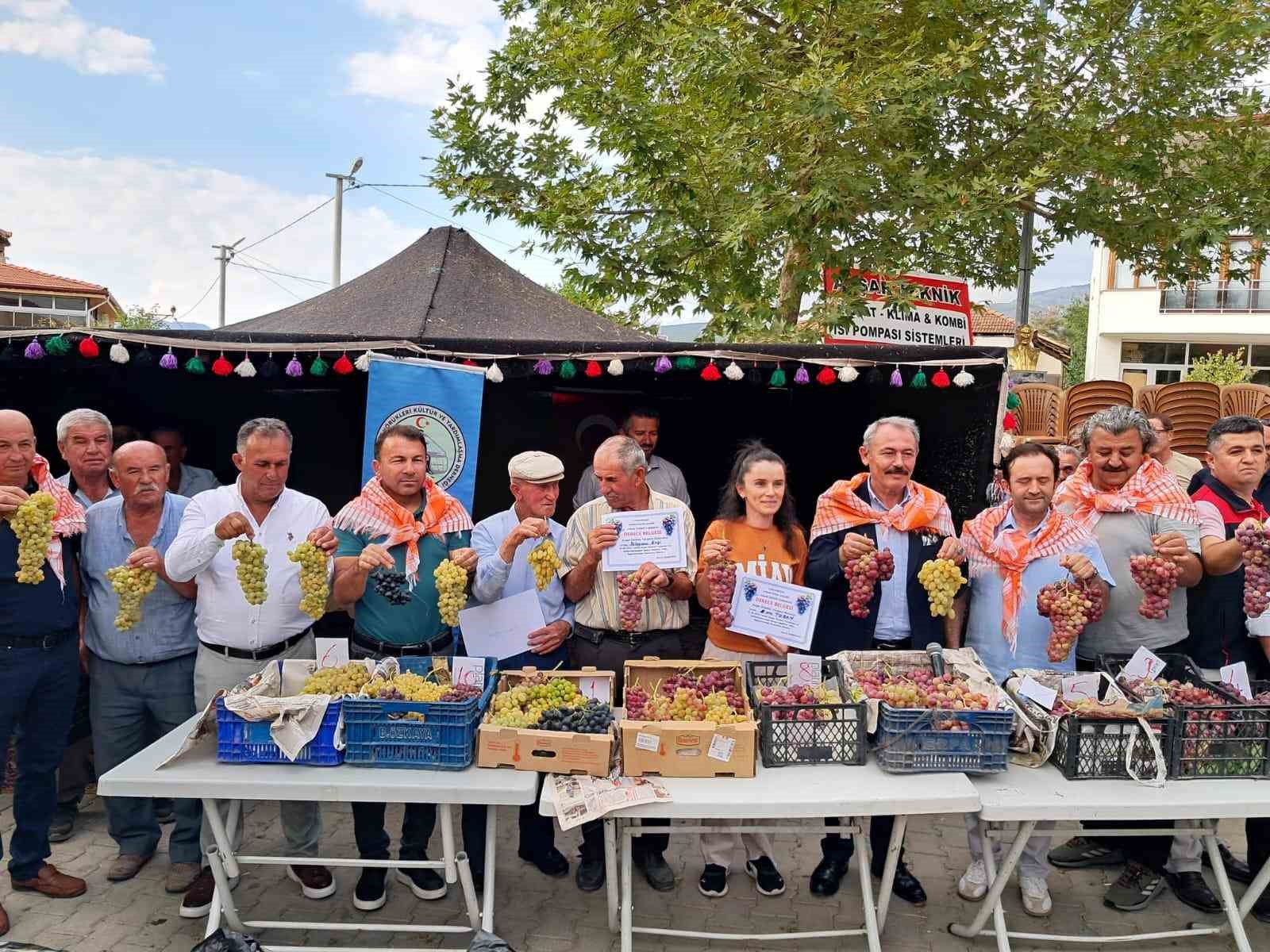 Avşar Üzümü coğrafi işaretle tescillendi
