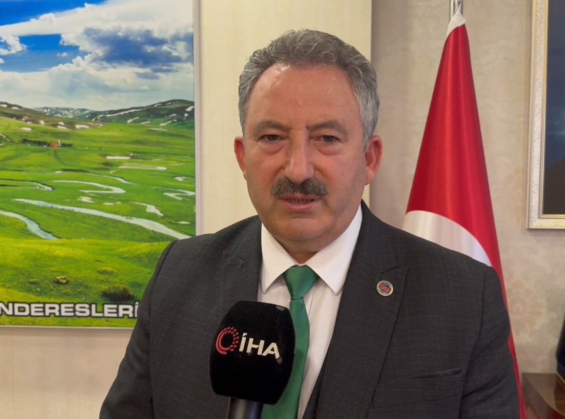 Aybastı’da başıboş köpekler vatandaşları tedirgin ediyor
