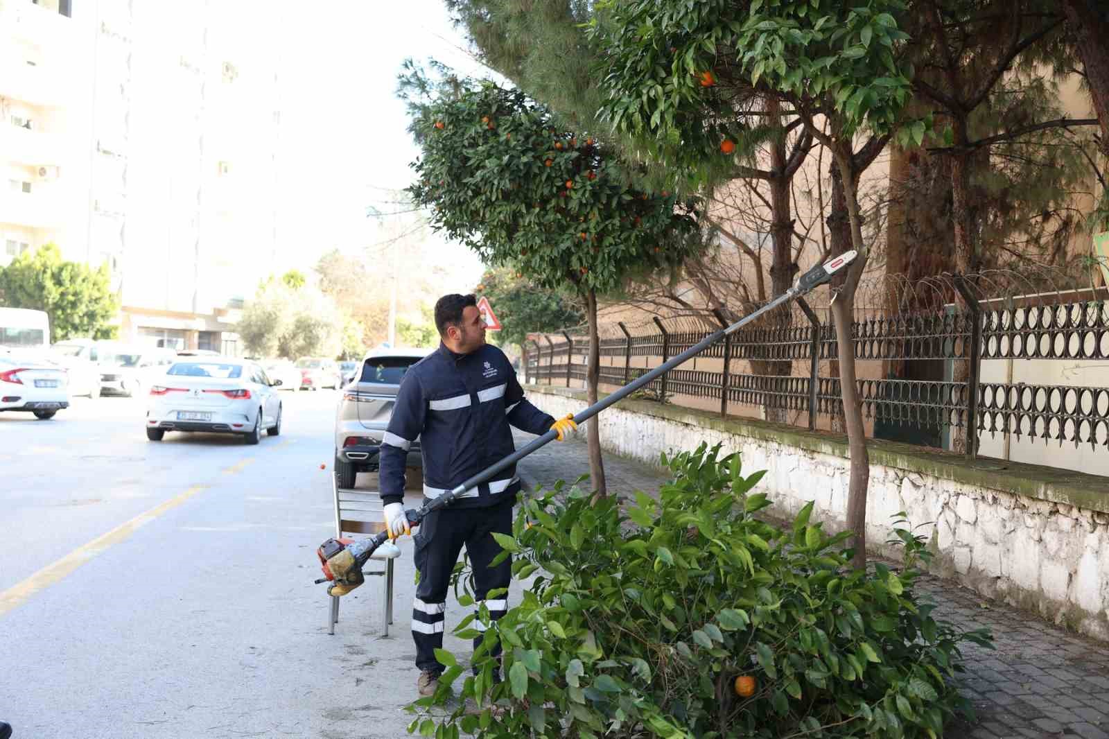 Aydın Büyükşehir Belediyesi’nden Efeler’in yeşil alanlarına bakım
