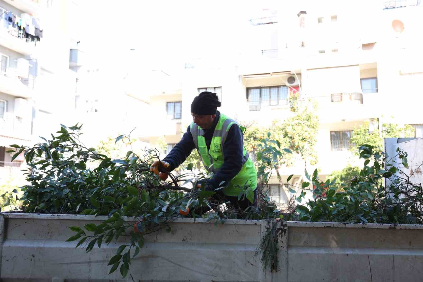 Aydın Büyükşehir Belediyesi’nden Efeler’in yeşil alanlarına bakım
