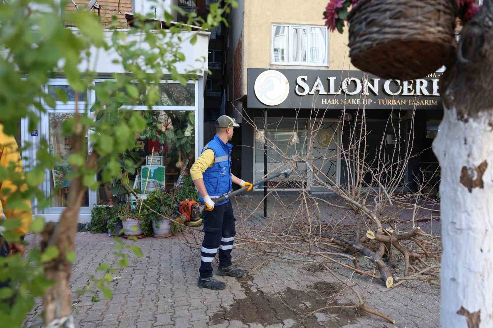 Aydın Büyükşehir Belediyesi’nden Efeler’in yeşil alanlarına bakım
