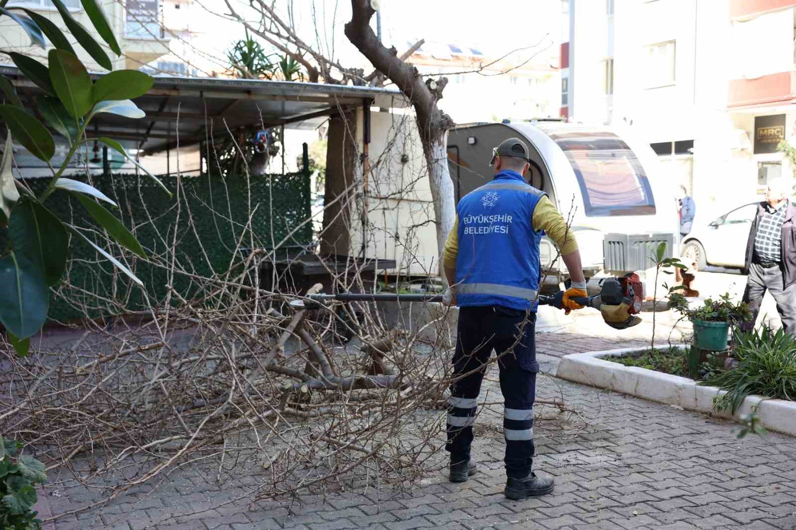 Aydın Büyükşehir Belediyesi’nden Efeler’in yeşil alanlarına bakım
