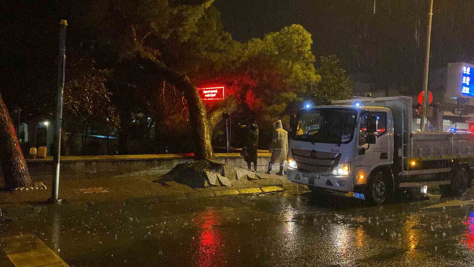 Aydın kent merkezinde faciadan dönüldü: Asırlık çam ağacı devrildi
