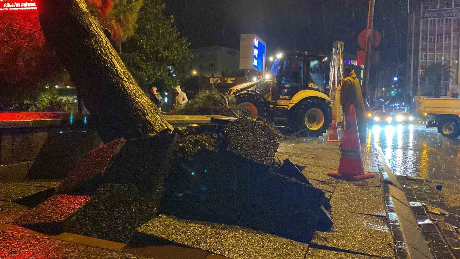 Aydın kent merkezinde faciadan dönüldü: Asırlık çam ağacı devrildi
