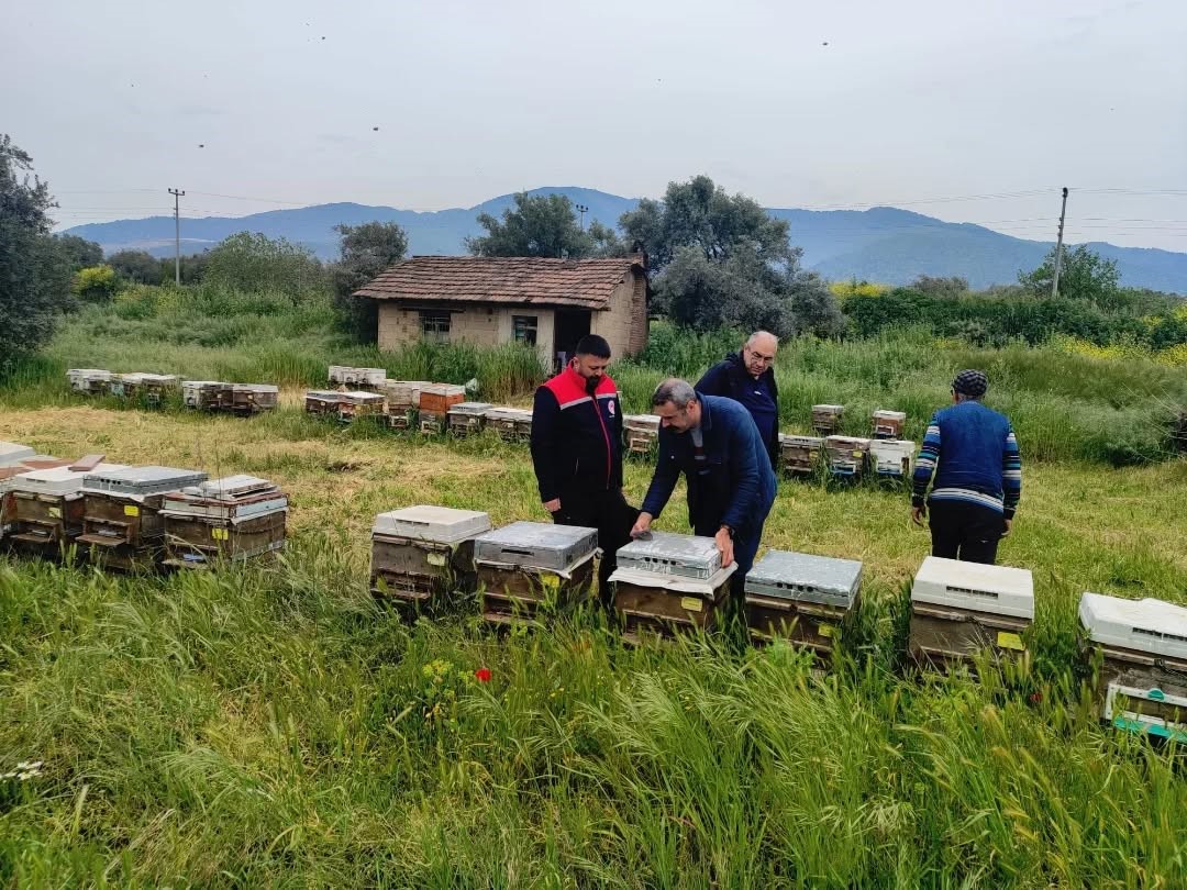 Aydın’da ana arı üretim kovanları denetlendi
