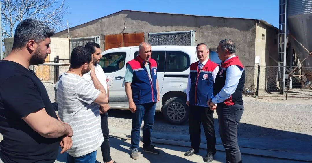 Aydın’da kanatlı üretimi 71 işletmede sürüyor
