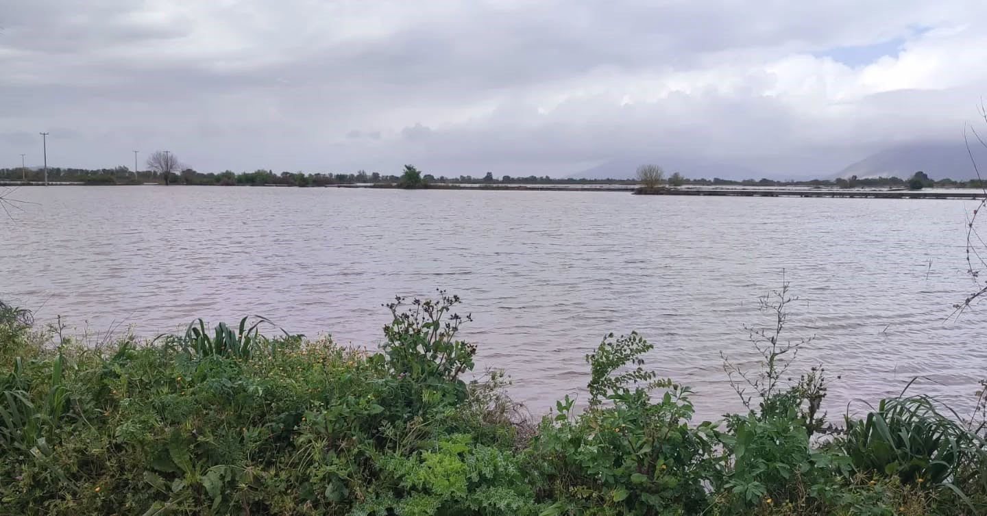 Aydın’da sular altında kalan arazilerde kesin zarar tespiti yapıldı
