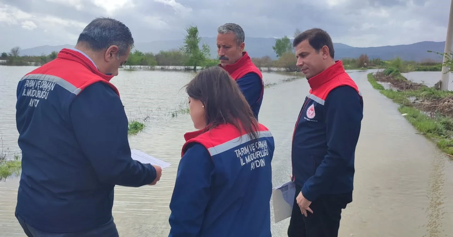 Aydın’da sular altında kalan arazilerde kesin zarar tespiti yapıldı
