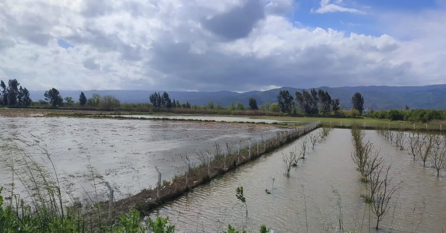 Aydın’da sular altında kalan arazilerde kesin zarar tespiti yapıldı
