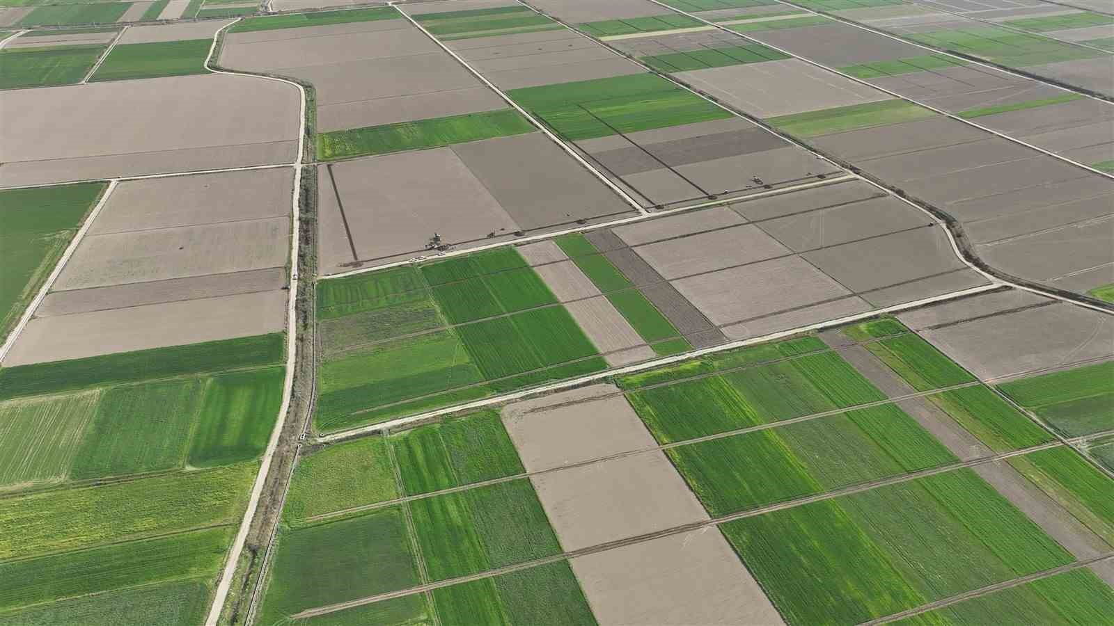 Aydın’da ürünlerin verimliliği artacak
