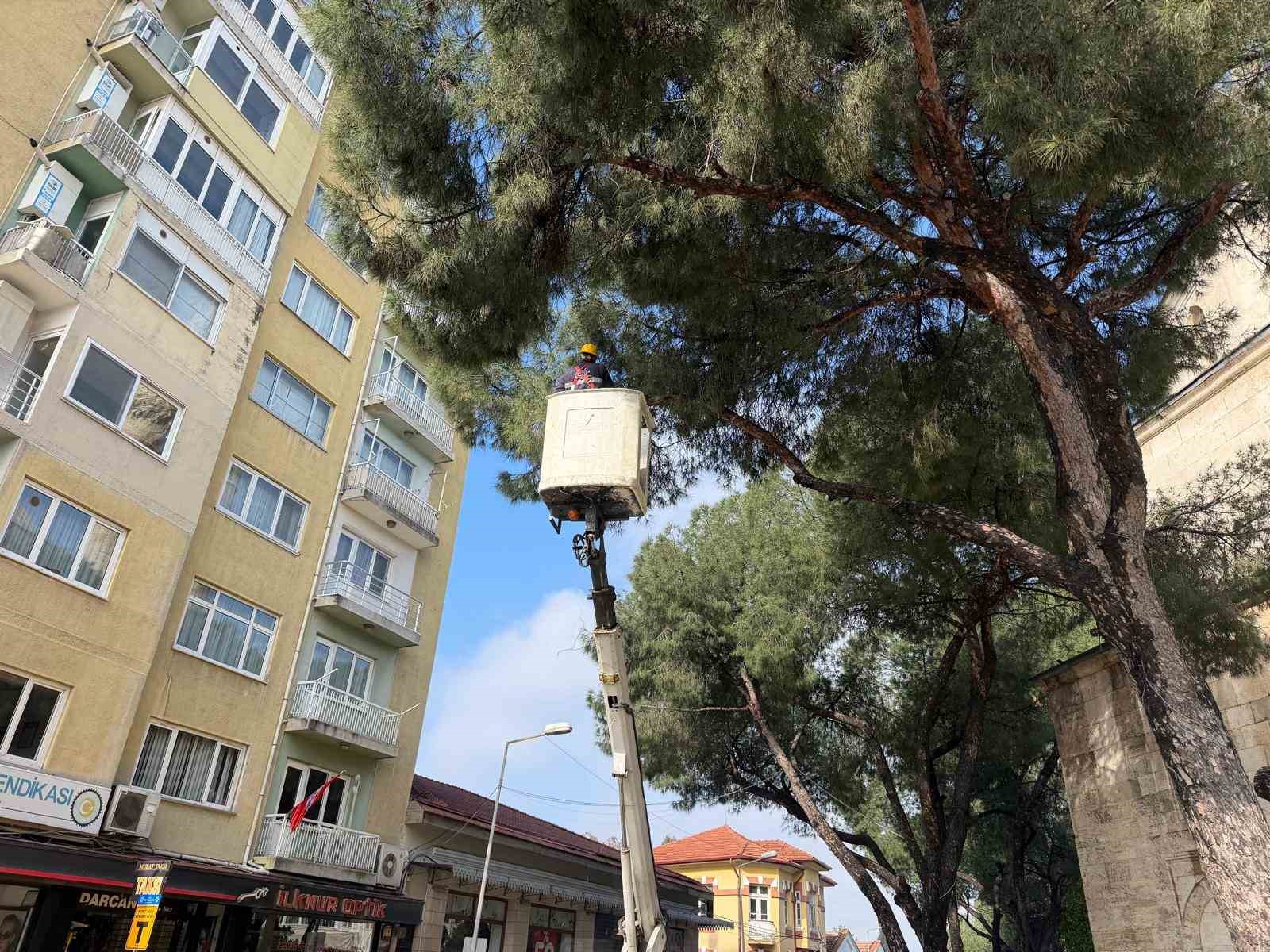 Aydın’ın en işlek noktasına estetik dokunuş
