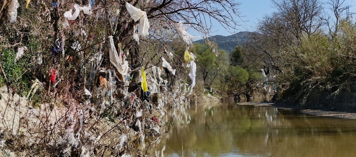 Aydın’ın içme suyunu karşılayacak Sarıçay’da kirlilik alarmı

