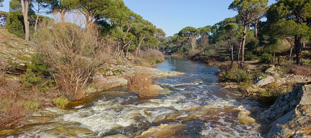 Aydın’ın içme suyunu karşılayacak Sarıçay’da kirlilik alarmı
