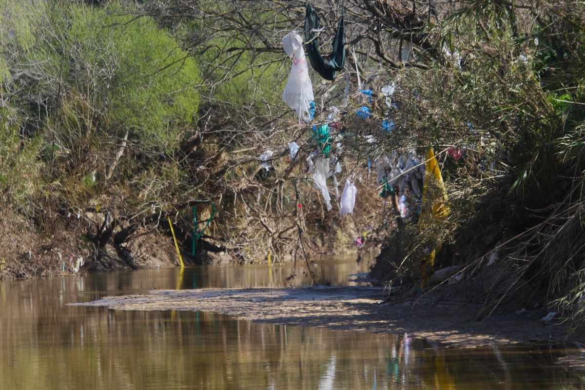 Aydın’ın içme suyunu karşılayacak Sarıçay’da kirlilik alarmı
