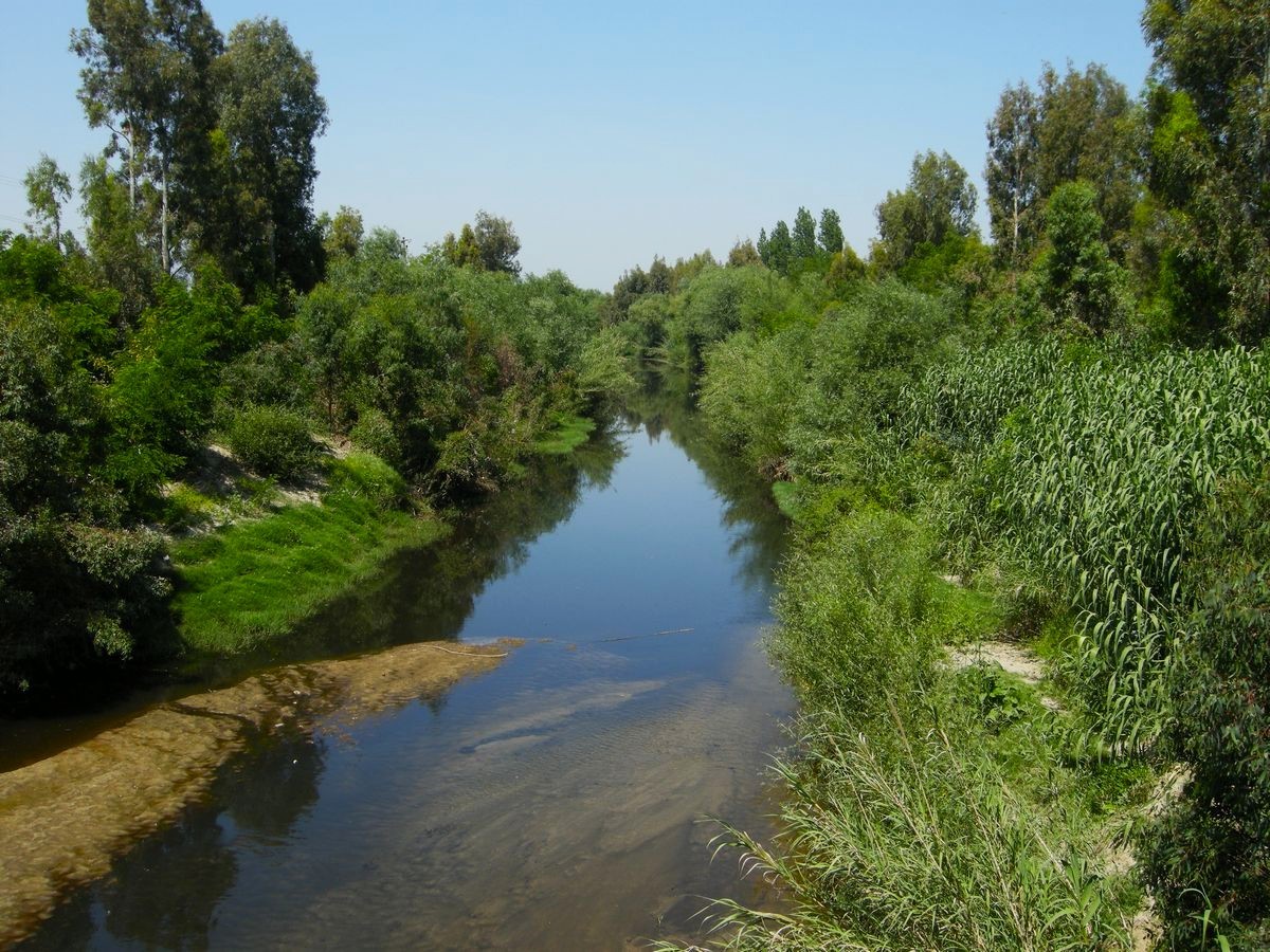 Aydın’ın içme suyunu karşılayacak Sarıçay’da kirlilik alarmı
