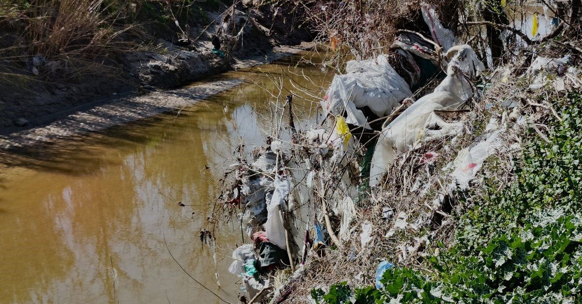 Aydın’ın içme suyunu karşılayacak Sarıçay’da kirlilik alarmı
