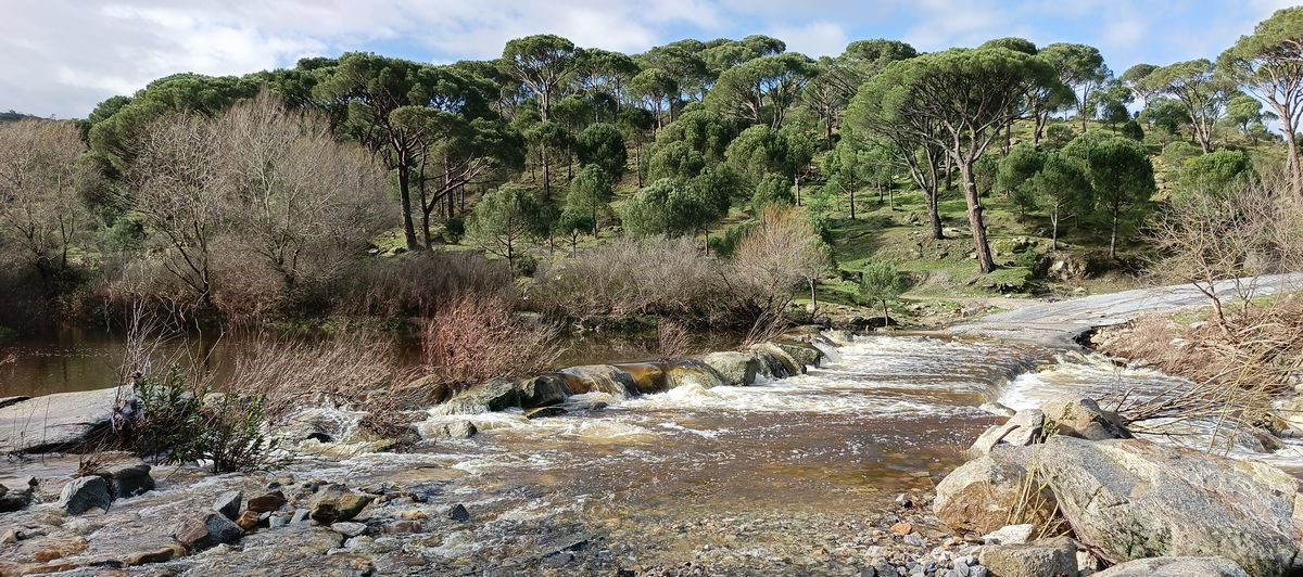 Aydın’ın içme suyunu karşılayacak Sarıçay’da kirlilik alarmı
