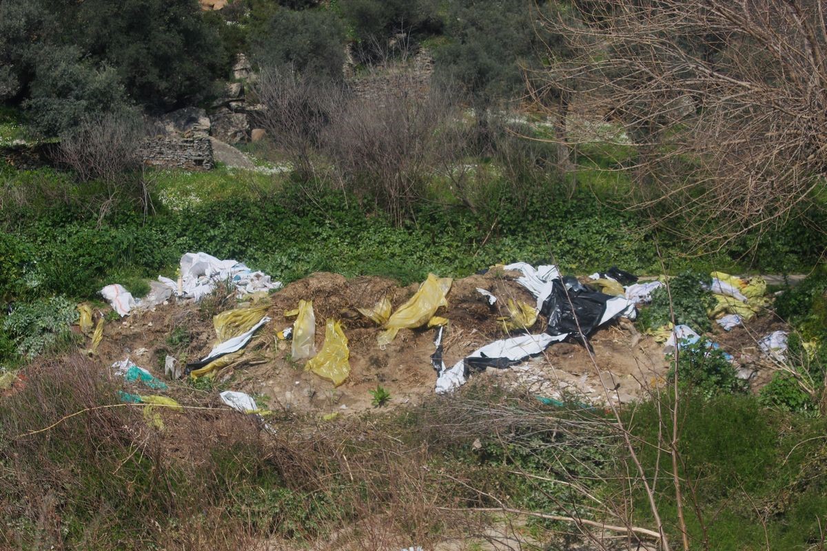 Aydın’ın içme suyunu karşılayacak Sarıçay’da kirlilik alarmı
