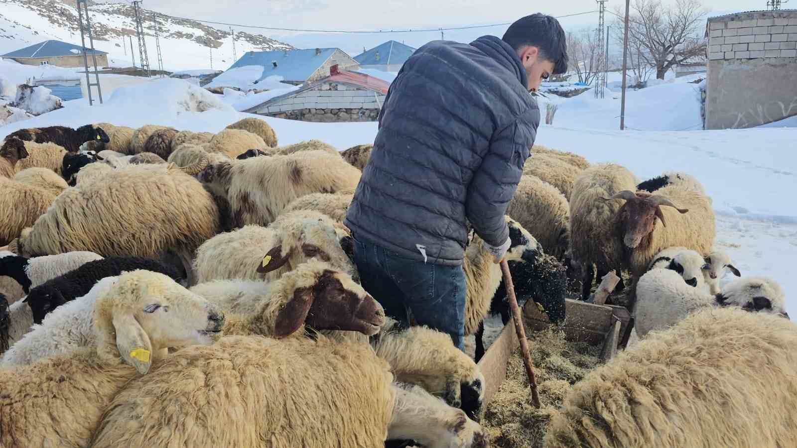 Aydınlar beldesinde iki mevsim bir arada yaşanıyor

