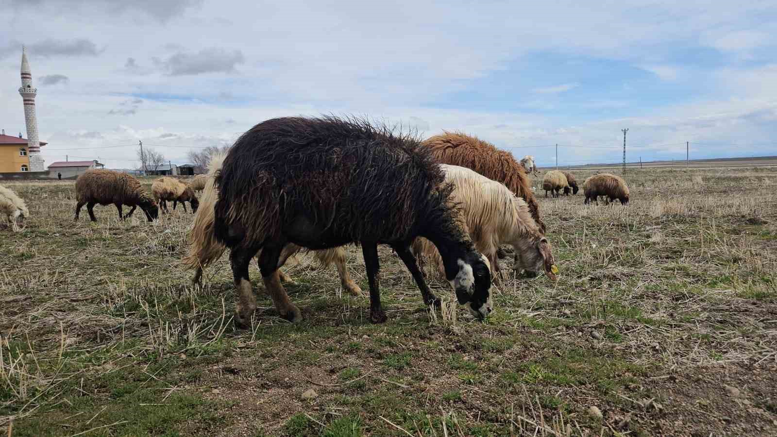 Aydınlar beldesinde iki mevsim bir arada yaşanıyor
