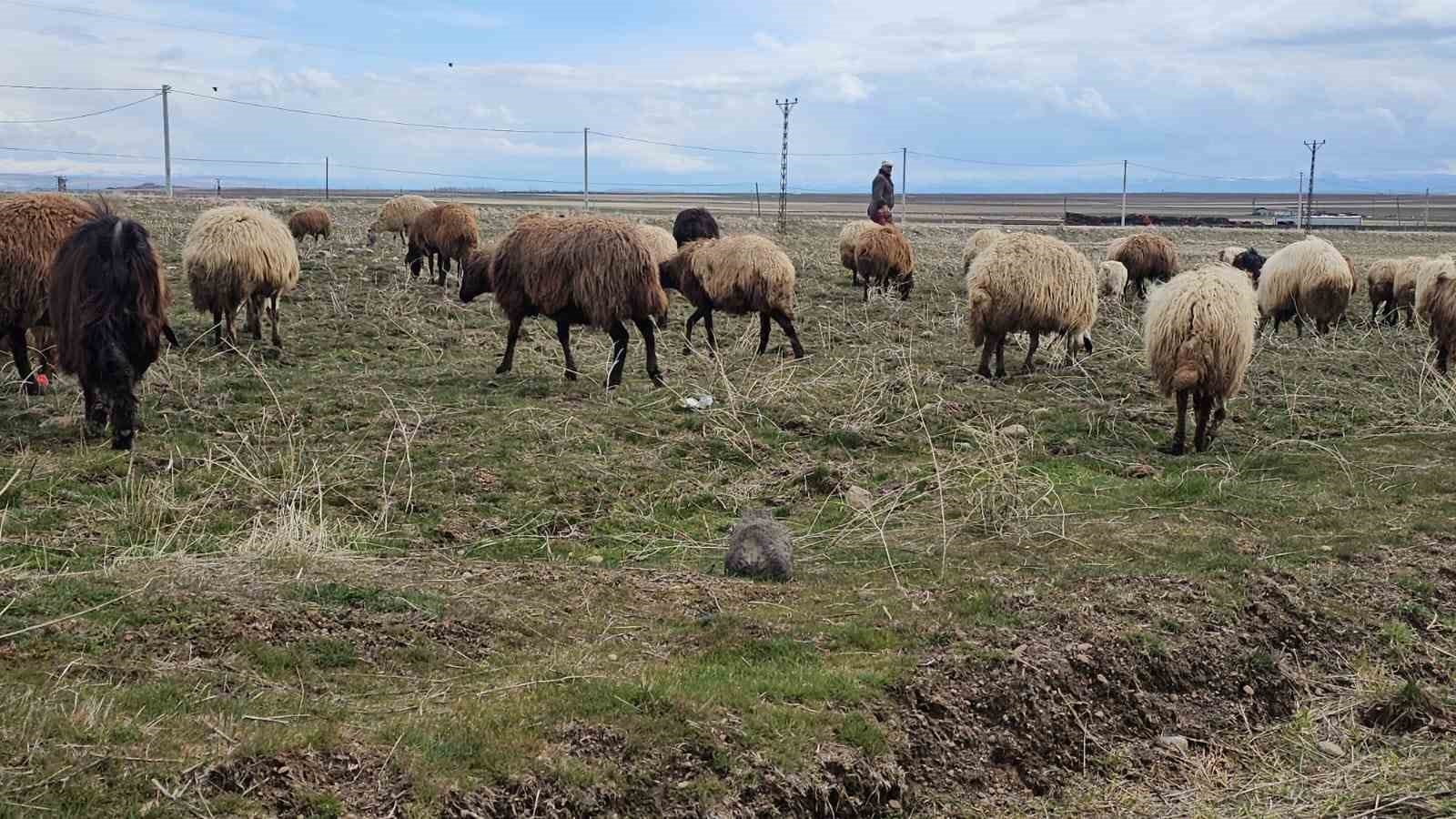 Aydınlar beldesinde iki mevsim bir arada yaşanıyor

