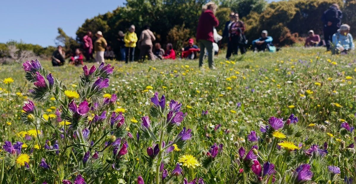 Aydınlı doğaseverler Urla’yı gezdi
