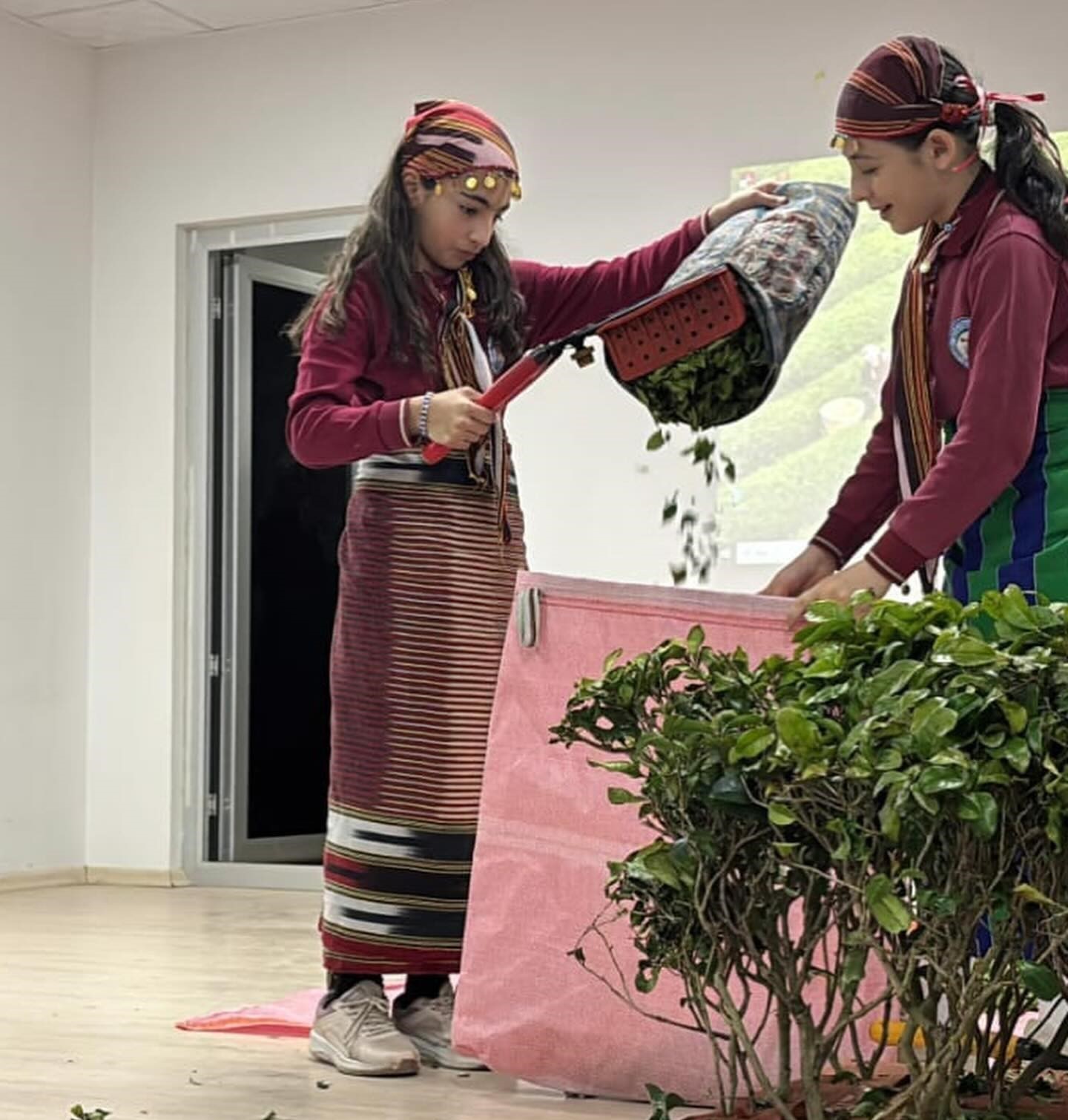 Aydıntepe’de öğrencilerden çay festivali
