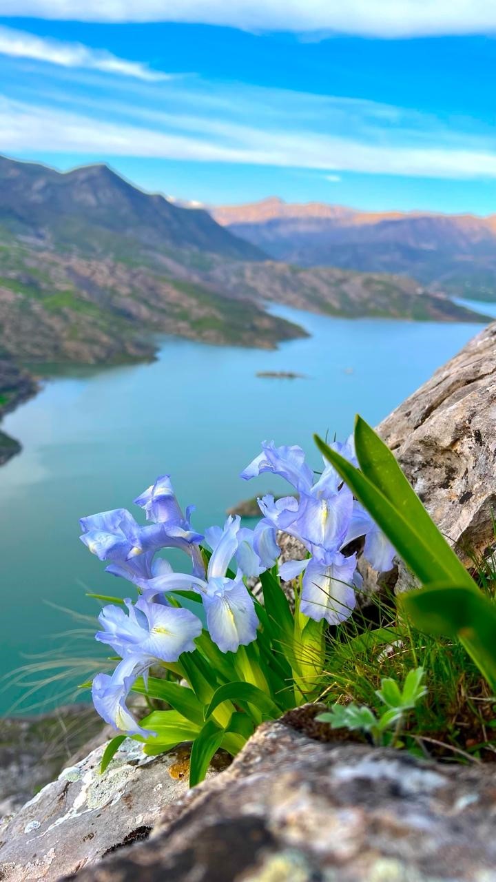 Ayı Nevruzu Gerger kayalıklarını renklendirdi
