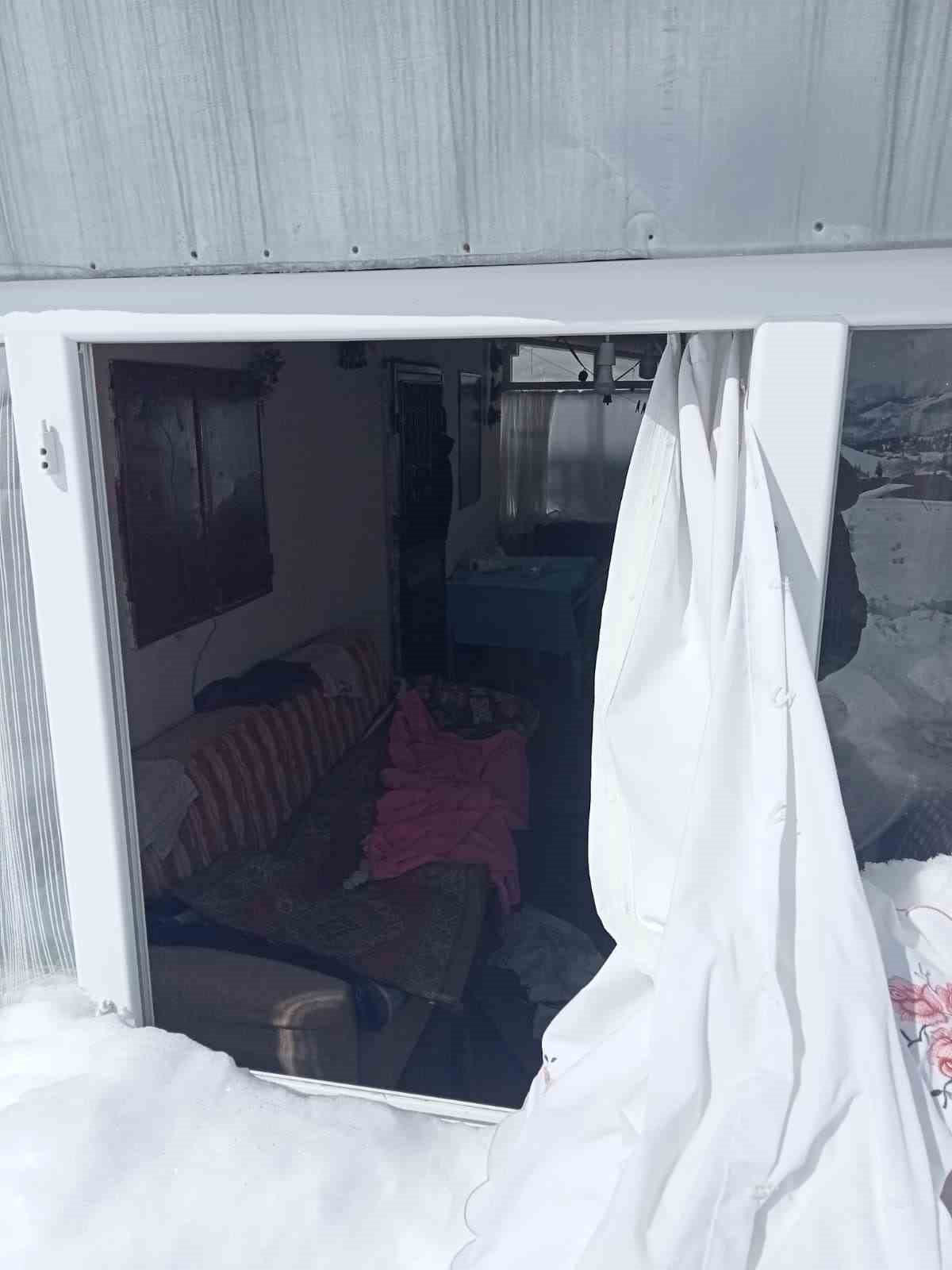 Ayıların Sis Dağı’ndaki yayla evlerine girme mesaisi yeniden başladı
