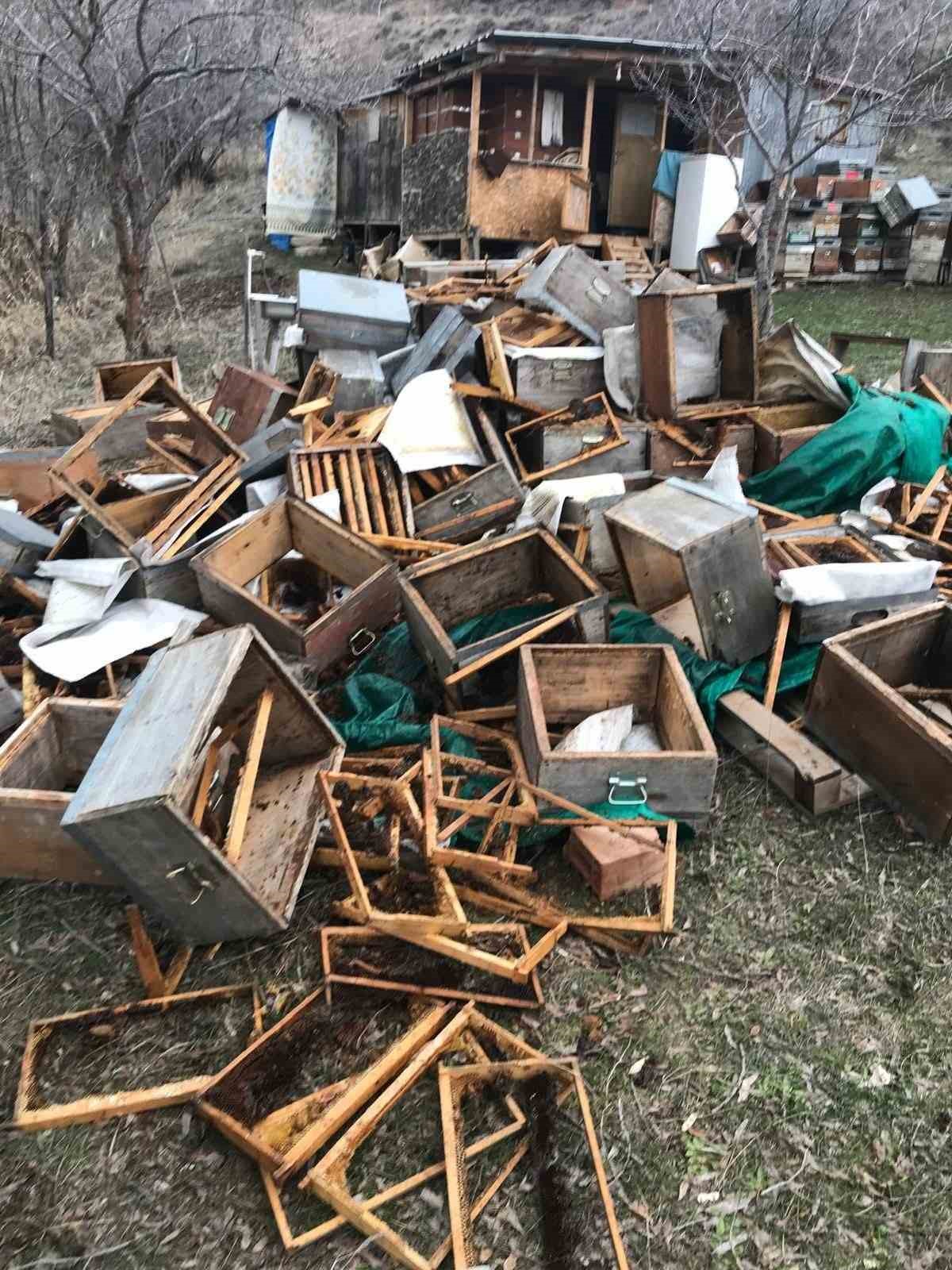 Ayıya elektrikli tuzak bile engel olamadı: Tellerin altını kazıp kovanlara ulaştı
