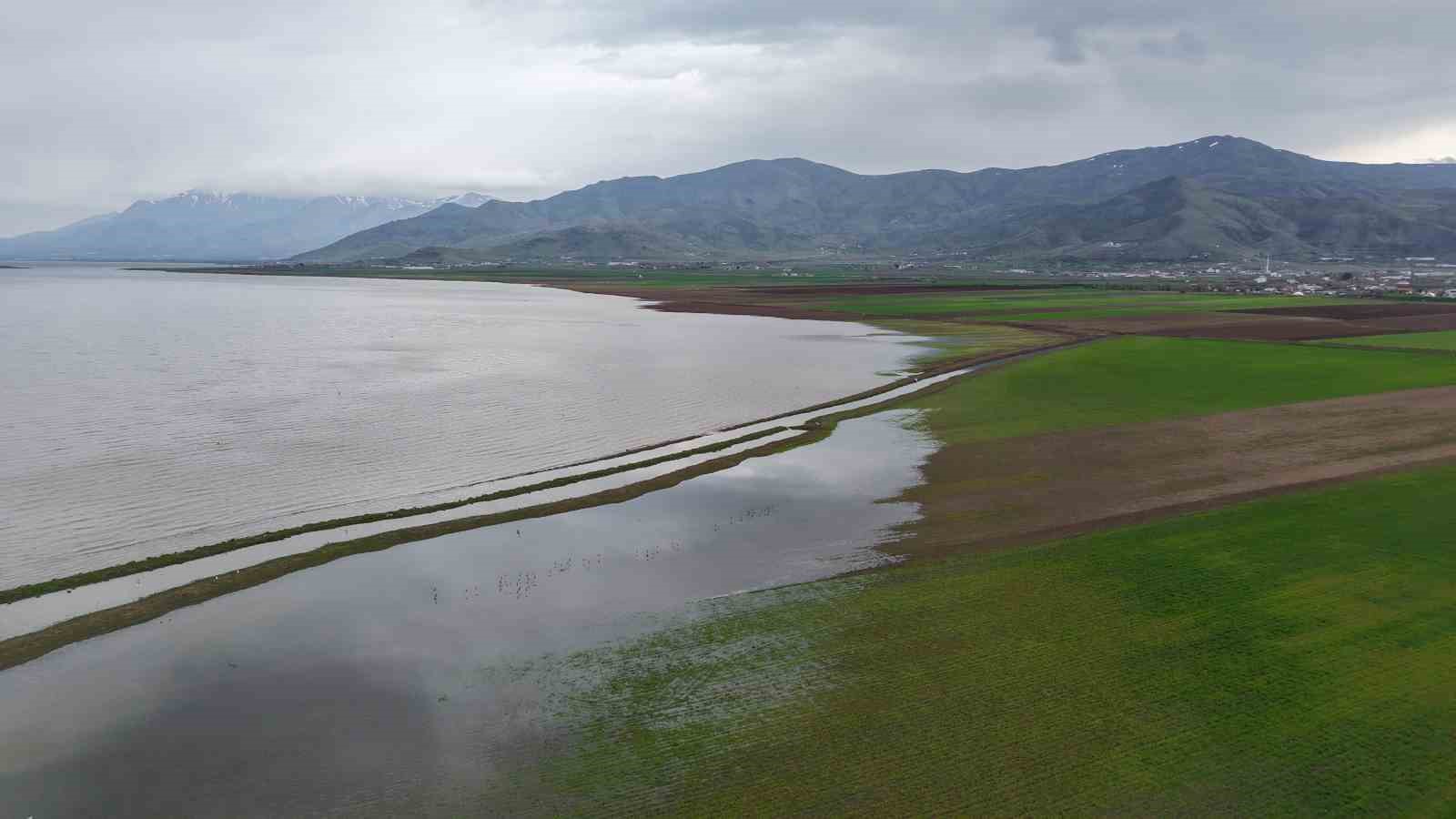 Aynı nokta, 7 yıl arayla: 2019’da kurudu, 2026’da sular altında kaldı
Aynı nokta, 7 yıl arayla: 2019’da kurudu, 2026’da sular altında kaldı