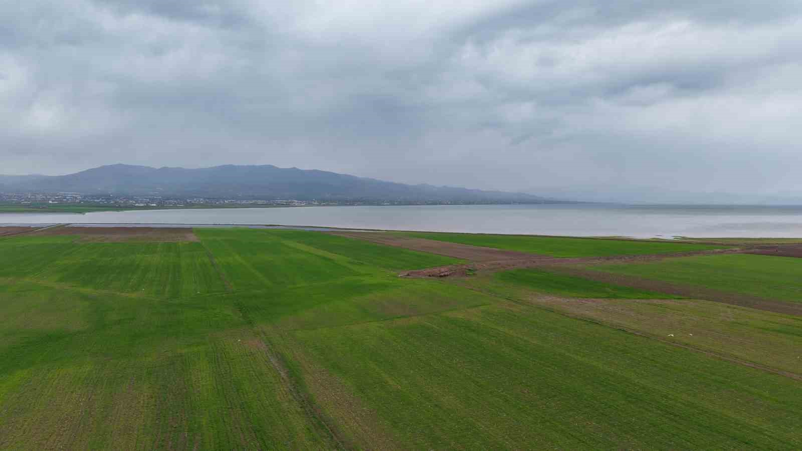 Aynı nokta, 7 yıl arayla: 2019’da kurudu, 2026’da sular altında kaldı
Aynı nokta, 7 yıl arayla: 2019’da kurudu, 2026’da sular altında kaldı