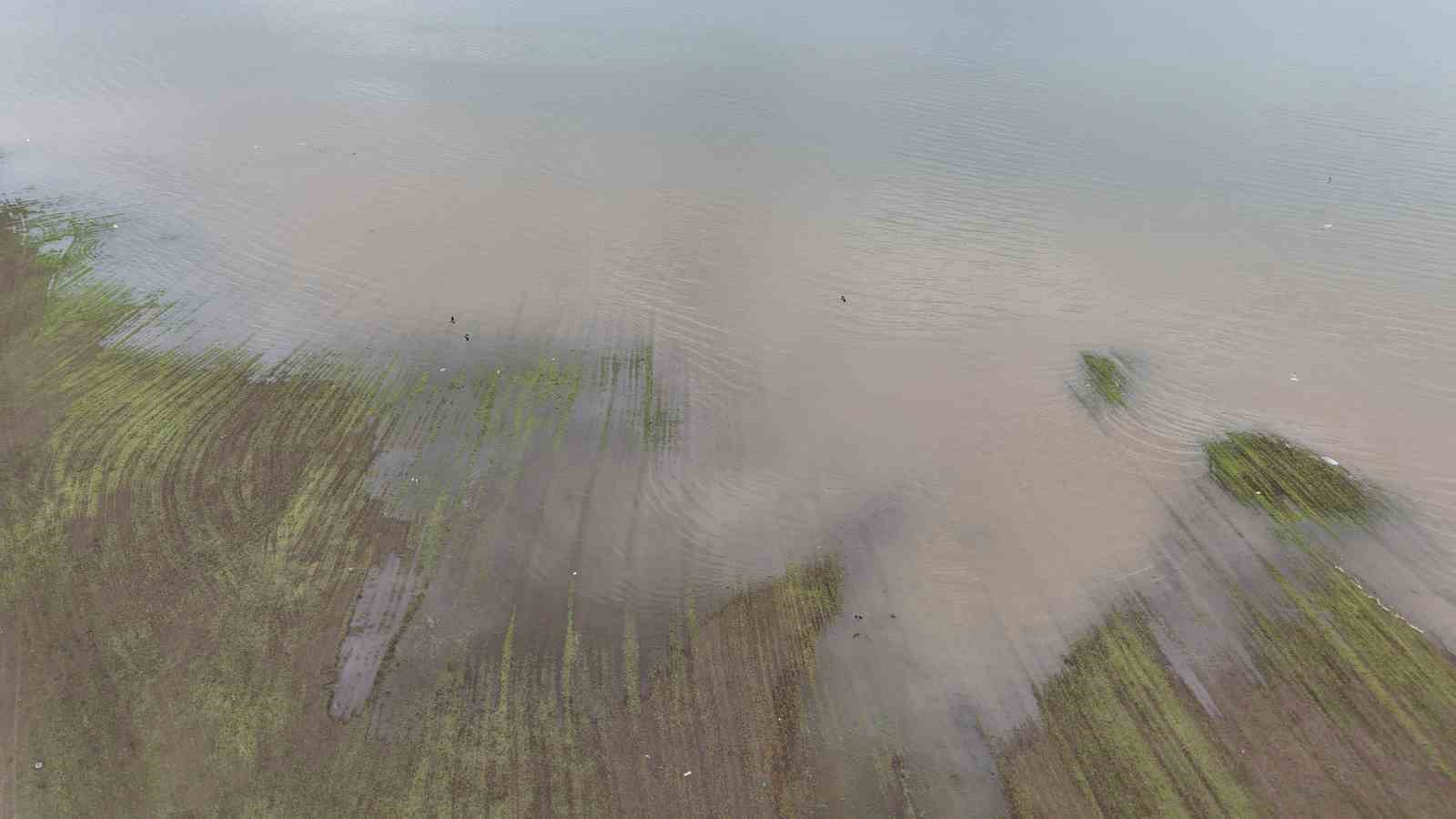 Aynı nokta, 7 yıl arayla: 2019’da kurudu, 2026’da sular altında kaldı
Aynı nokta, 7 yıl arayla: 2019’da kurudu, 2026’da sular altında kaldı