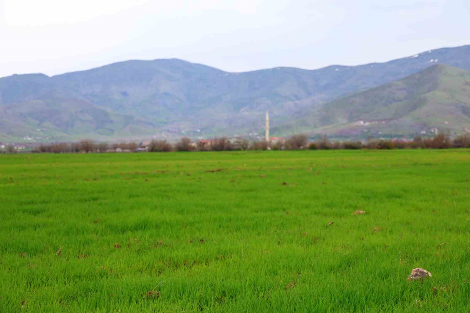 Aynı nokta, 7 yıl arayla: 2019’da kurudu, 2026’da sular altında kaldı
Aynı nokta, 7 yıl arayla: 2019’da kurudu, 2026’da sular altında kaldı