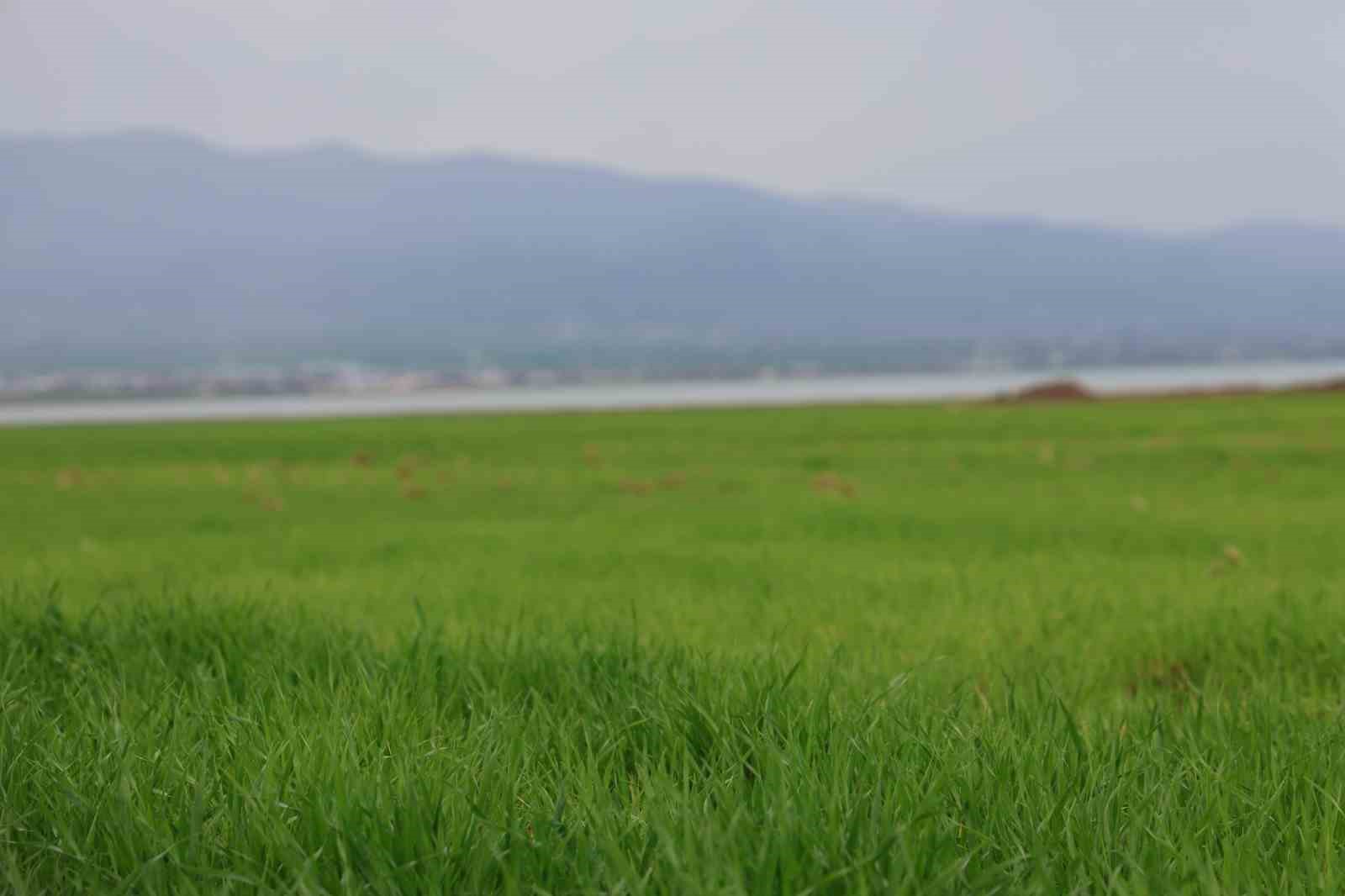 Aynı nokta, 7 yıl arayla: 2019’da kurudu, 2026’da sular altında kaldı
Aynı nokta, 7 yıl arayla: 2019’da kurudu, 2026’da sular altında kaldı