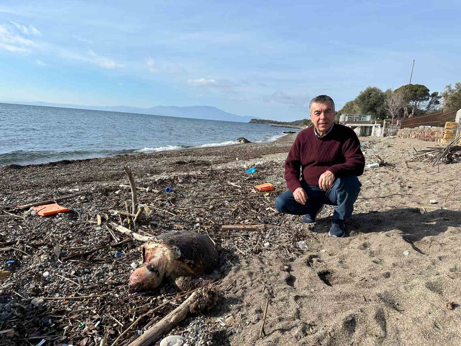 Ayvacık’ta ölü caretta caretta sahile vurdu
