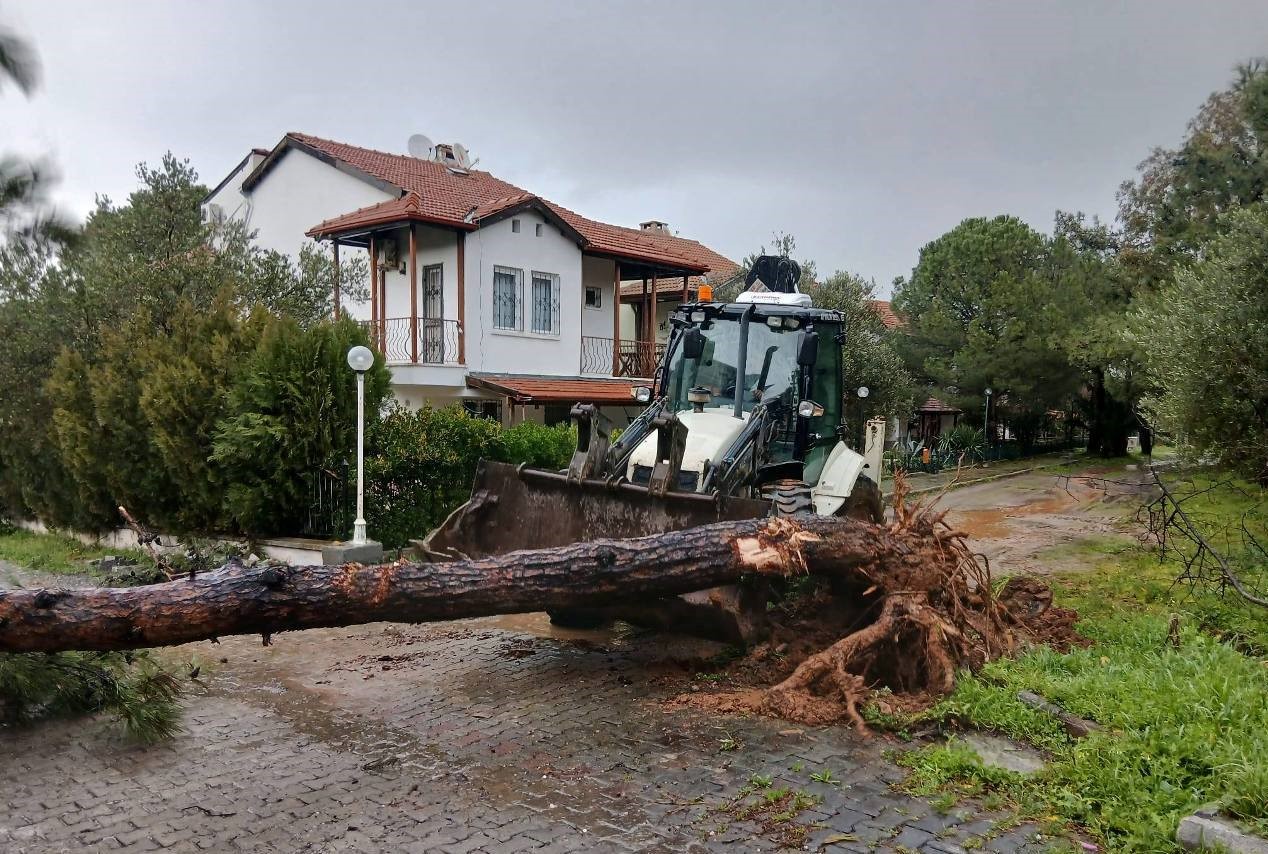Ayvalık’ta ekipler yaz kış demeden 7/24 sahada
