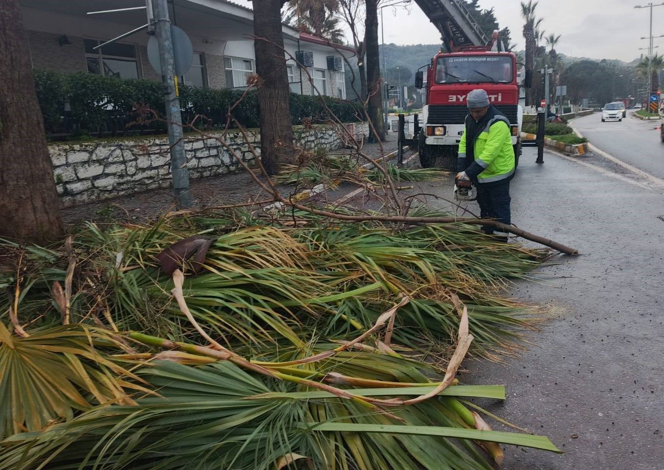 Ayvalık’ta ekipler yaz kış demeden 7/24 sahada
