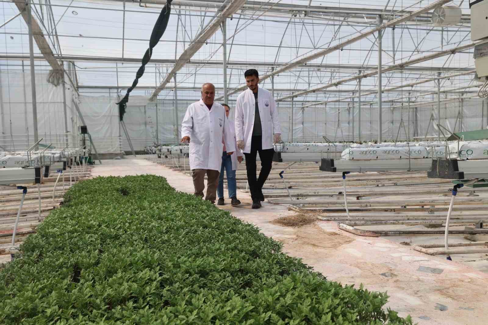 Aziziye’de 2025 yılına yatırım mührü
